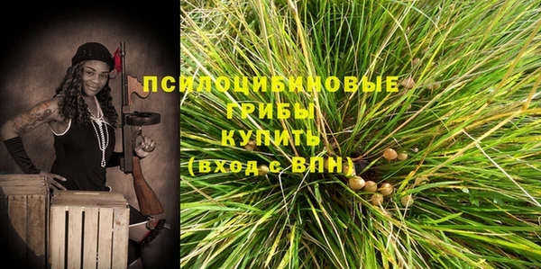СК Абдулино