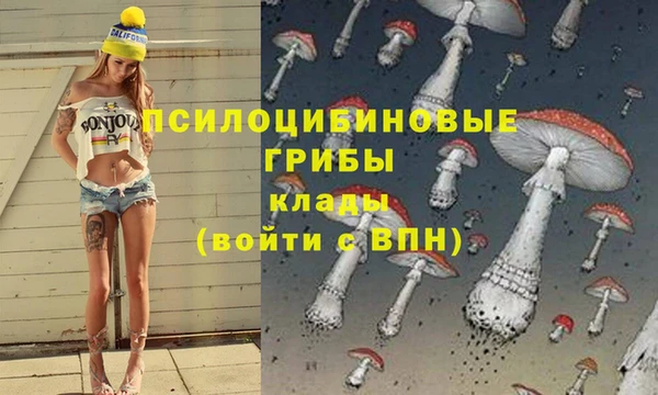 твердый Абинск